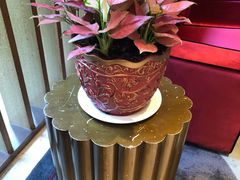 -金汇酒楼(中山东区店)