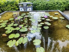 -三亚海棠湾万丽度假酒店