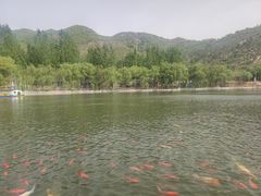 -济南马套将军山