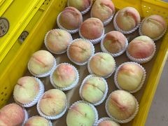 -老袁家蜜桃农场·阳山水蜜桃