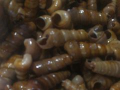 -宾朋海鲜特色美食餐厅·纯手工鲅鱼水饺(兴海路店)