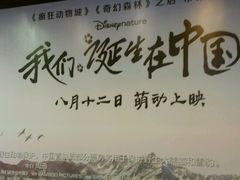 -SFC上影影城(港汇永华IMAX激光店)