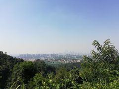 -火炉山森林公园