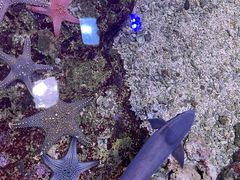 -杭州长乔极地海洋公园