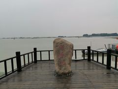 -杨辉饭店