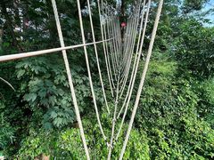 -芦仙山景区-飞越丛林探险乐园