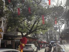 -溪岸路花鸟市场