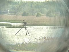 -盐城丹顶鹤湿地生态旅游区