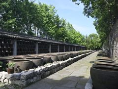 -鄞州雪菜博物馆