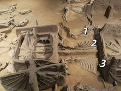 -洛阳周王城天子驾六博物馆