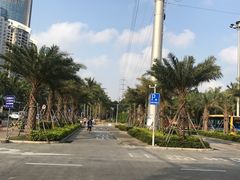 -万绿园