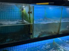 -翠茗农庄土菜馆(天目湖店)