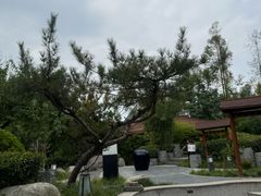 -思念果岭悦温泉