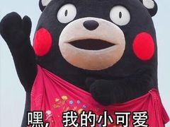 -狐狸和向日葵(北京路店)