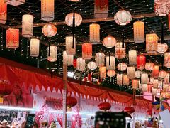 -越秀西湖花市(广州城市广场花卉店)