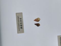 -中国湿地博物馆