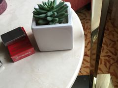 -上海新发展亚太JW万豪酒店