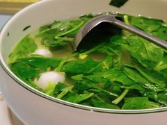 -丁老爷子苏香圆