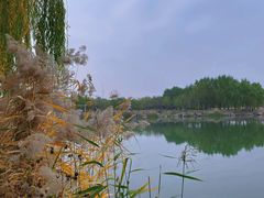 -马家湾湿地公园