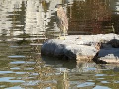 -狼山风景名胜区