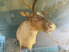 -陕西自然博物馆