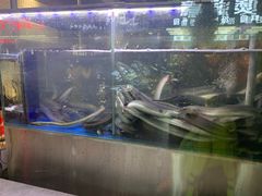 -本炙炭烤·蒲烧活鳗料理店(金沙洲店)