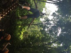 丛林飞跃-清迈丛林飞跃 JungleFlight