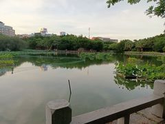 -东湖公园