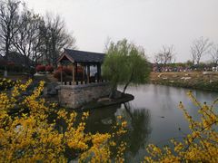 -窑湾古镇