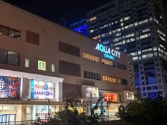 -台场海滨公园船码头