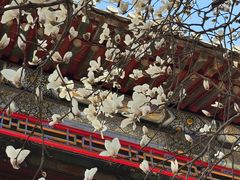-潭柘寺景区