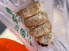 -老回回烩面馆(左家庄店)