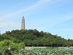 -顺峰山公园