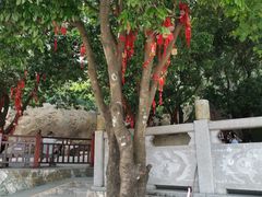 -凤凰山公园-龙王古庙