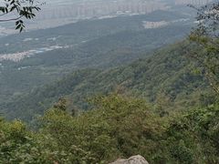 -紫金山山顶公园