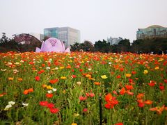 -二沙岛艺术公园