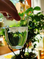 -花间禅净·瑜伽