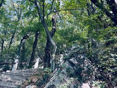 -宝岩生态观光园