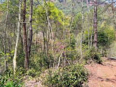 -天台山赤城山景区