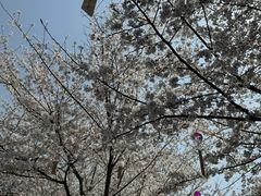 -堤角公园