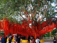 -西双版纳勐泐文化旅游区