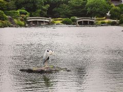 -水前寺成趣园