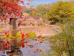 -广州莲花山旅游区