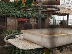 -兰陵国家农业公园