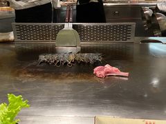 -赤坂亭·M9和牛烧肉·铁板烧(合肥万象城店)