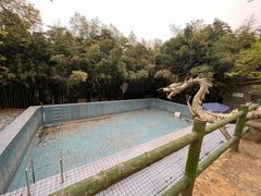 -盛世牡丹苑生态文化旅游区