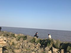 -南汇嘴观海公园