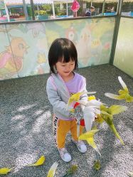 -萌宠亲子动物乐园(槐房万达店)