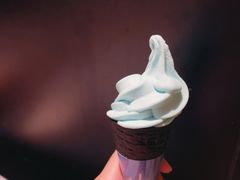 薄荷冰激淋-小大董·烤鸭(观景餐厅·南京西路店)