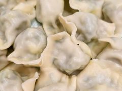 韭菜鸡蛋煮饺-老边饺子馆(东单店)